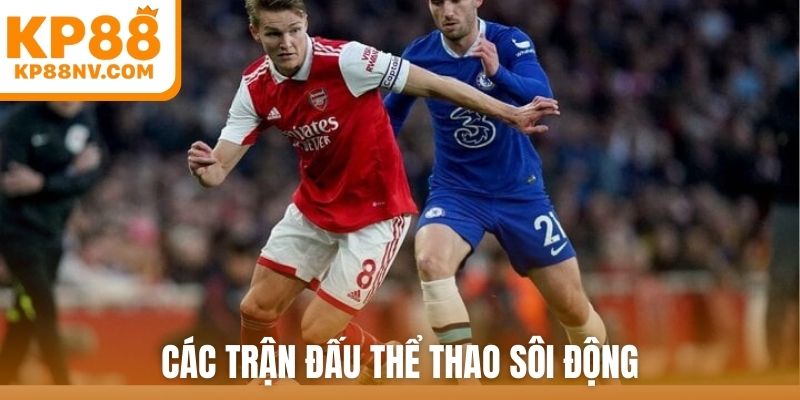 Các trận đấu thể thao sôi động